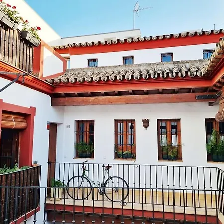 Loft & Private Rooftop With Bbq Apartment Seville