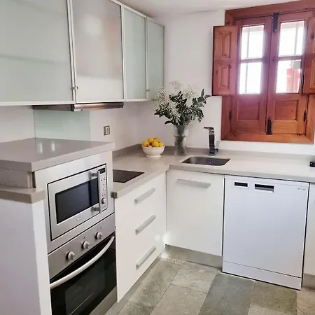 Apartment Loft & Private Rooftop With Bbq Seville