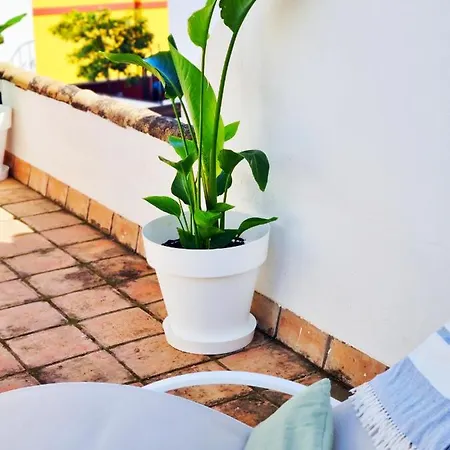 Loft & Private Rooftop With Bbq